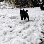 fd6a21aa-a434-420a-90da-161f61dfbab7