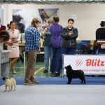 IMG_20261015_194227