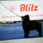 IMG_20261015_194403
