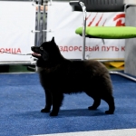 IMG_20261015_200147