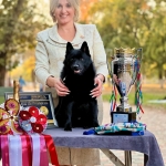 3bd3d82d-baa8-4a57-b5dd-b130036caa14