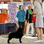 5dff18c7-63be-46c9-96dd-d26715e5e10f