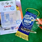 c12203f6-5aba-4806-9821-2c7fb5b27924
