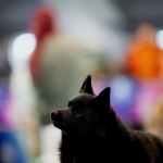 IMG_20260603_204942