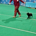 IMG_20260603_205157