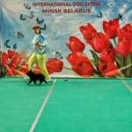 IMG_20260603_205419