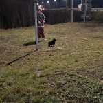 IMG_20251203_191719_710