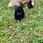 0629ec11-0de1-49c0-8dbd-1b40c8af9c16