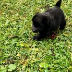 0e3e4f69-6c06-4f9c-93cd-129690cf3283