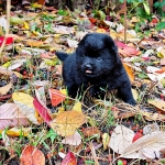 18658f20-738c-4a6d-883e-03c654280964