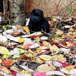 28159c78-ac2c-4539-b8d9-123dd2e60fa1