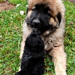 2b07b89c-57ed-4d01-9d43-0982ed6a39f4