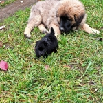 306d7e6e-64bf-43bb-8095-ff61769580e9