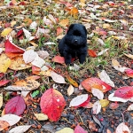 390482e5-042c-4c3b-afd1-6e6f20a9092b