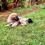 44ddfc22-37c8-4258-8c3c-978d20e02c61