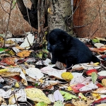 489ce449-94de-4a1c-bf52-e6969d17fee9