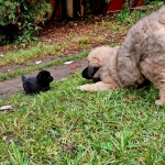 7c0bfa62-e5e4-48e7-8baa-2dc286e90842