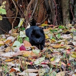 93d3a82d-671d-4fe6-adf8-f09997c5e749