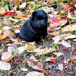 ada8897f-a500-49dd-ab98-1521dea155e6