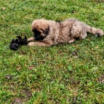 d78f08f1-263a-49c0-bfce-7fda12f62586