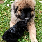 dd1cffae-bc7b-4ffe-95af-c4c874aa1d0b