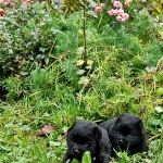 1810c327-4727-43f4-b38c-f16e6f1e4152