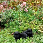 4738faf2-ed1c-46c8-93a1-2148c390f484