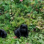 73235fc3-608a-493c-8b7d-680de3c4016c