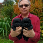 e4fbd2da-998d-42b4-b220-77152d2ae556