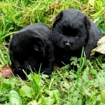 e88b7089-cc12-4ed8-ab69-a9c0a98a628a