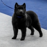 IMG_20260127_194943_081