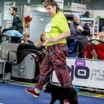 IMG_20260127_195000_075