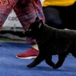 IMG_20260127_195030_559