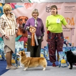 IMG_20260127_195056_343