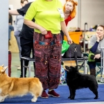 IMG_20260127_195117_384