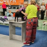 IMG_20260127_195135_009