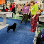 IMG_20260127_195141_143