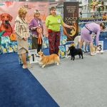 IMG_20260127_195231_135