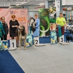 IMG_20260127_195255_686