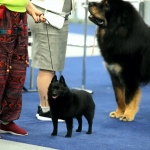 IMG_20260127_205645_131