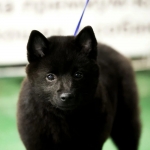 IMG_20260127_205657_575