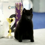 IMG_20260127_205703_773