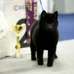 IMG_20260127_205709_238