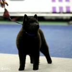 IMG_20260127_205714_362