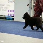 IMG_20260127_205719_568