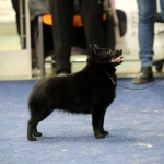 IMG_20260127_205735_561