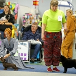 IMG_20260127_205742_153