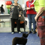 IMG_20260127_205749_177