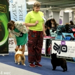 IMG_20260127_205806_081