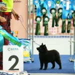 IMG_20260127_205817_453